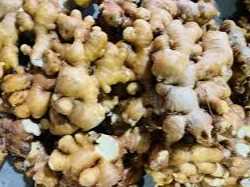 Cần tìm đơn vị vận tải vận chuyển mặt hàng nông sản (gừng, khoai tây) đi Ấn Độ