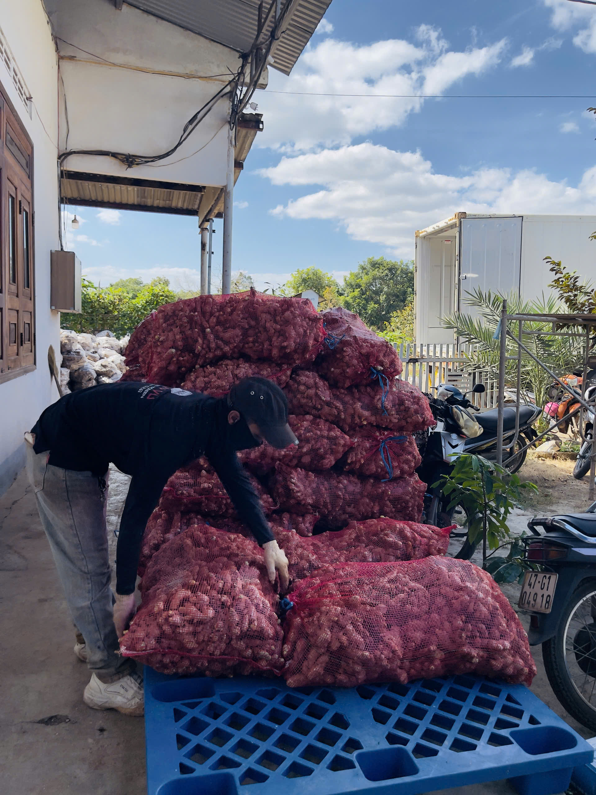 Tìm Cước tàu từ HCM đi Sohar / Jebel Ali / Jeddah