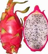 Cần tìm đơn vị  vận tải vận chuyển mặt hàng thanh long đi Malaysia