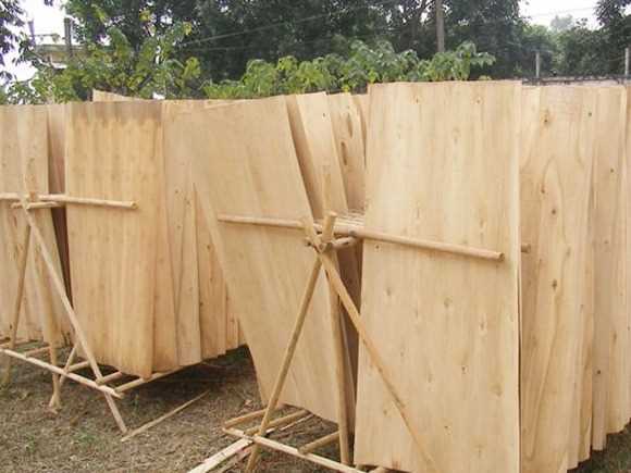 Cần tìm đơn vị vận tải vận chuyển mặt hàng ván bóc đi Ấn Độ