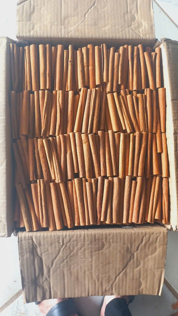 Cần tìm đơn vị vận tải logictis cho đơn hàng quế đi Ấn Độ