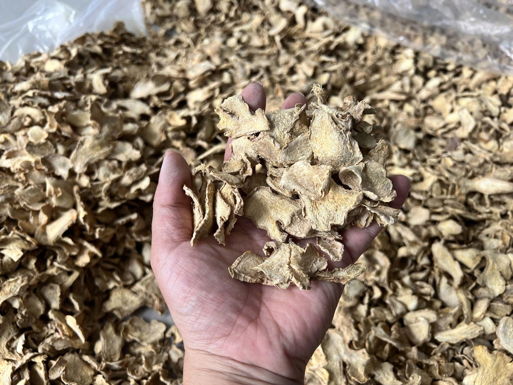 Cần đơn vị logistics vận chuyển gừng khô đi Ấn Độ (Nhava Sheva )