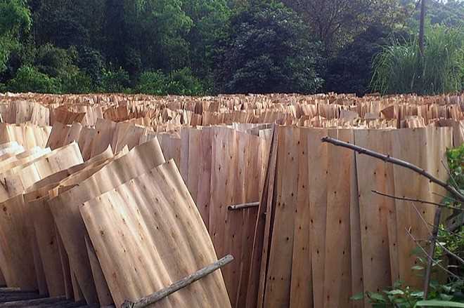 Cần tìm đơn vị vận tải vận chuyển mặt hàng ván bóc đi Ấn Độ