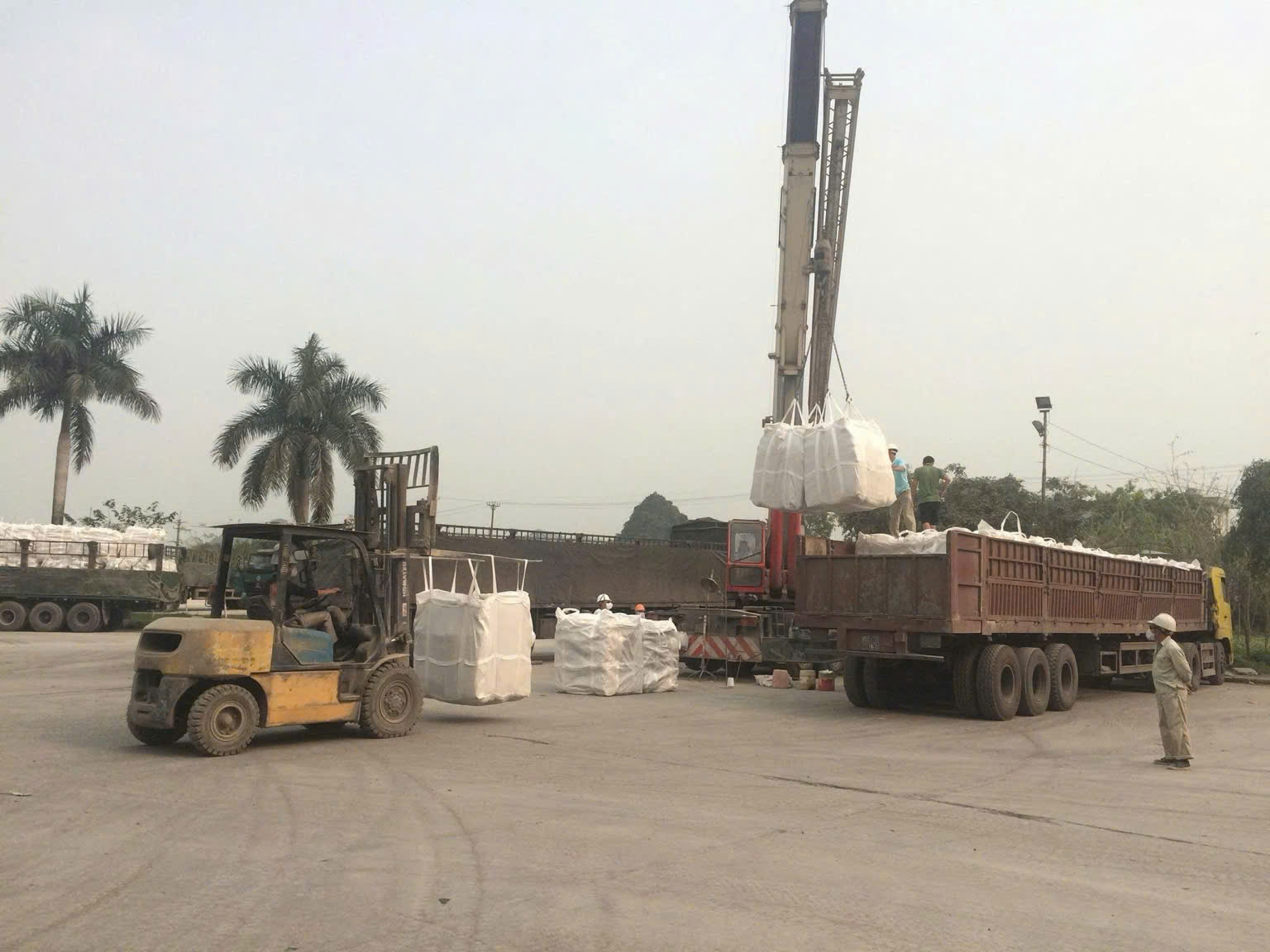 Cần tàu gấp – 3 lô xi măng/clinker Nghi Sơn đi Úc / Guyana / Mỹ – có tuyến dài hạn