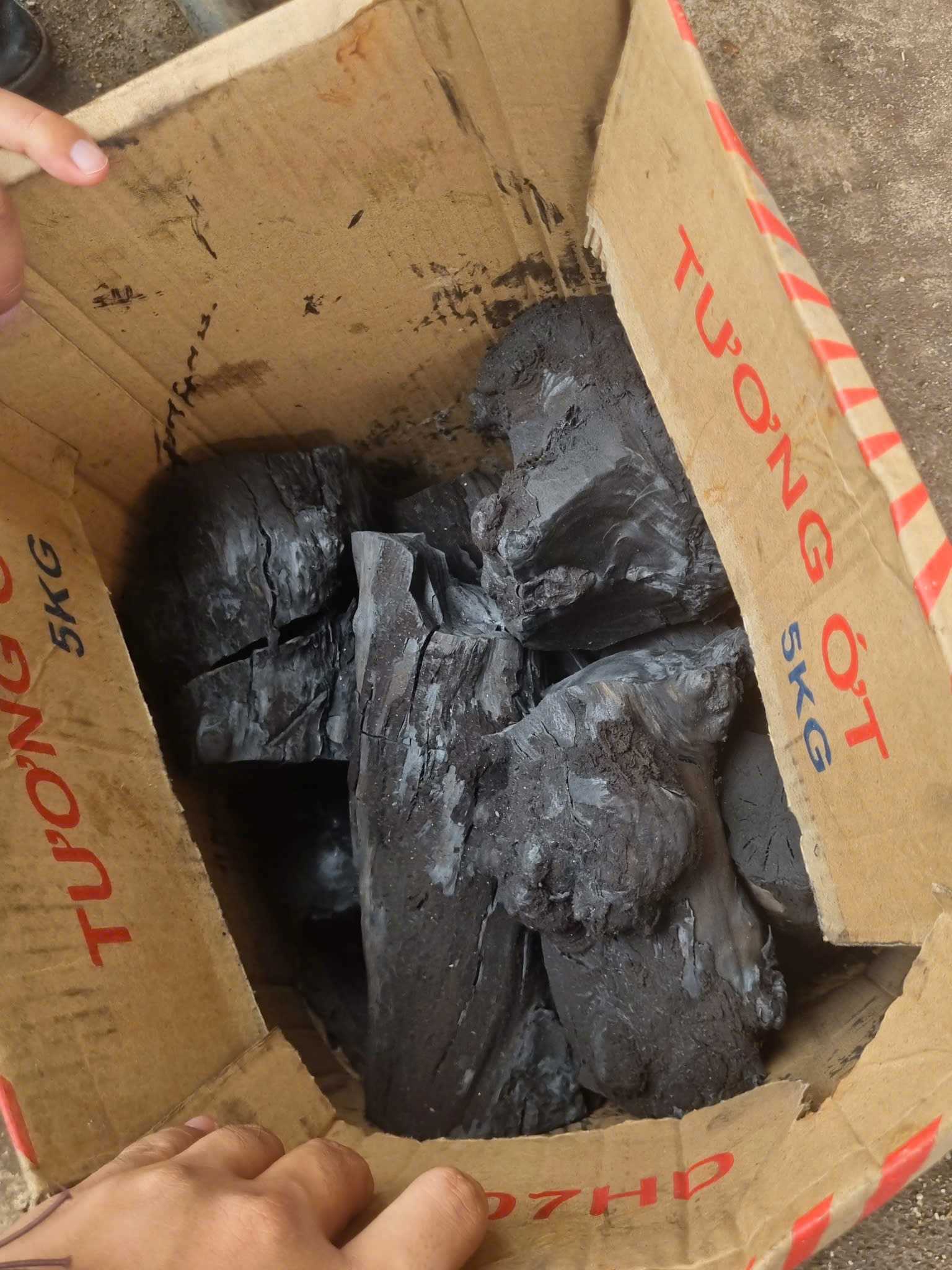 Cần tìm đơn vị vận tải vận chuyển mặt hàng than đi Bulgaria