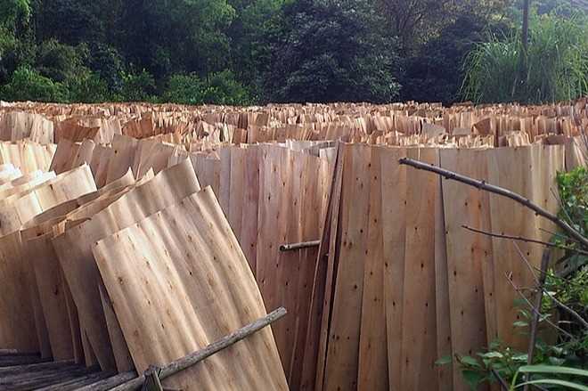 Cần tìm đơn vị vận tải vận chuyển mặt hàng ván bóc đi Ấn Độ