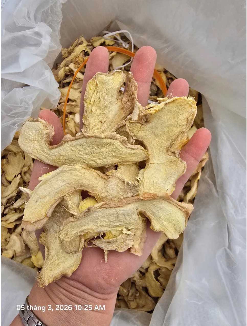 Cần tìm đơn vị FWD chuyên hàng gừng khô đi Ấn Độ