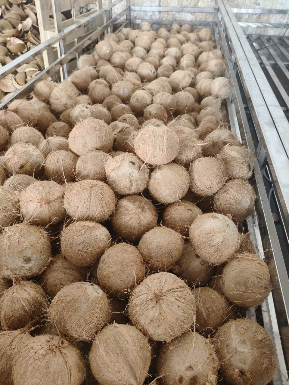 Cần tìm vận tải cảng Quy Nhơn đi Ấn cho mặt hàng dừa khô