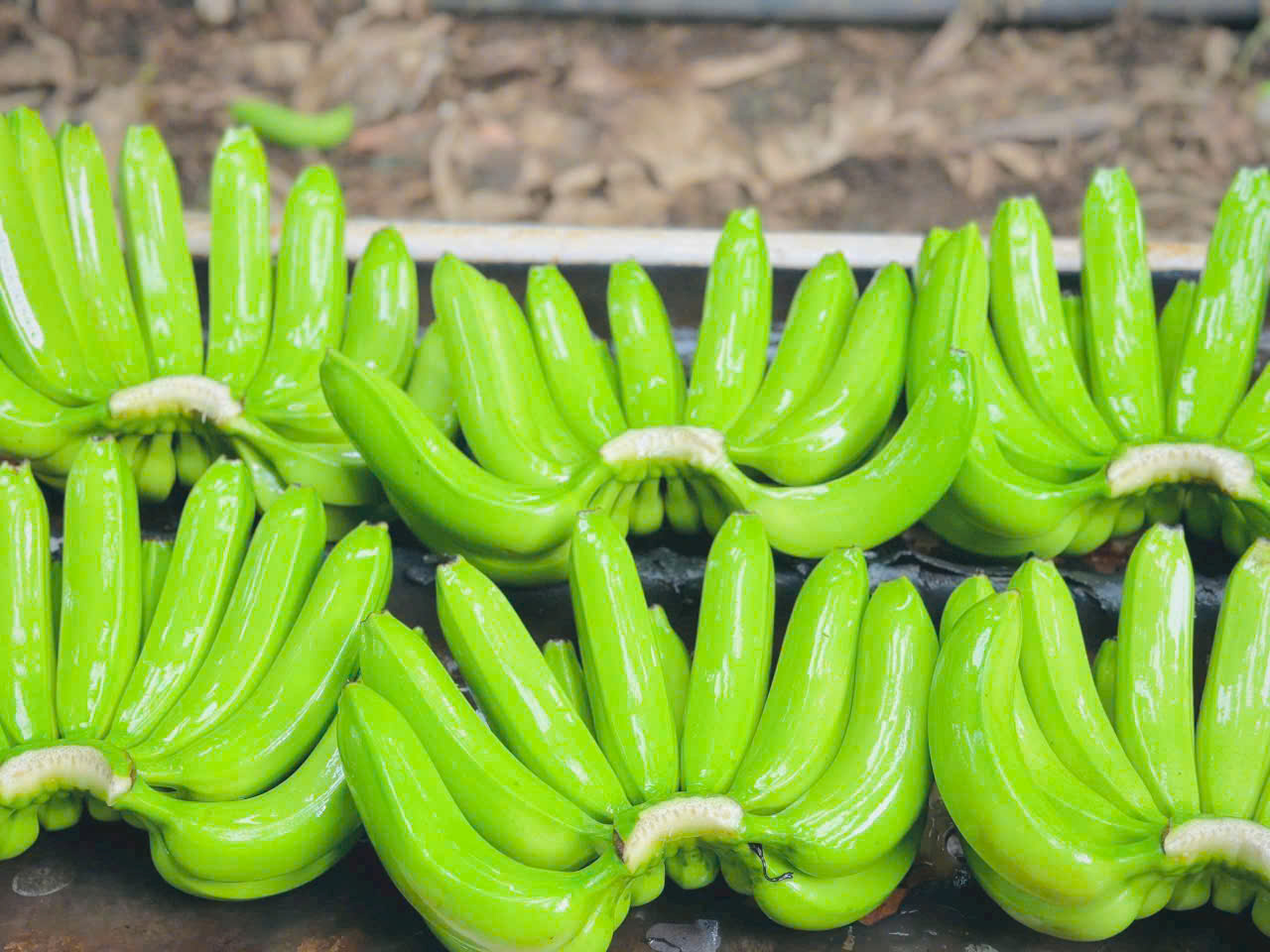 Tìm nhà vận chuyển 10 cont 20ft qua trung quốc ( gấp trong tuần này )