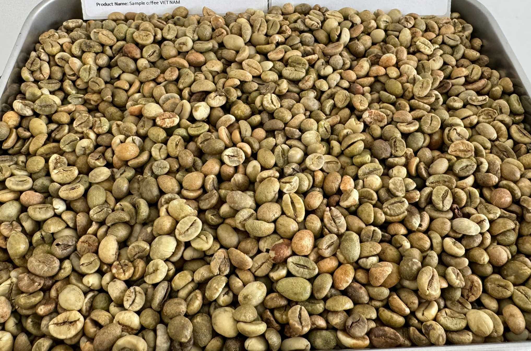 Cần tìm đơn đơn vị vận tải vận chuyển mặt hàng cafe đi Ý