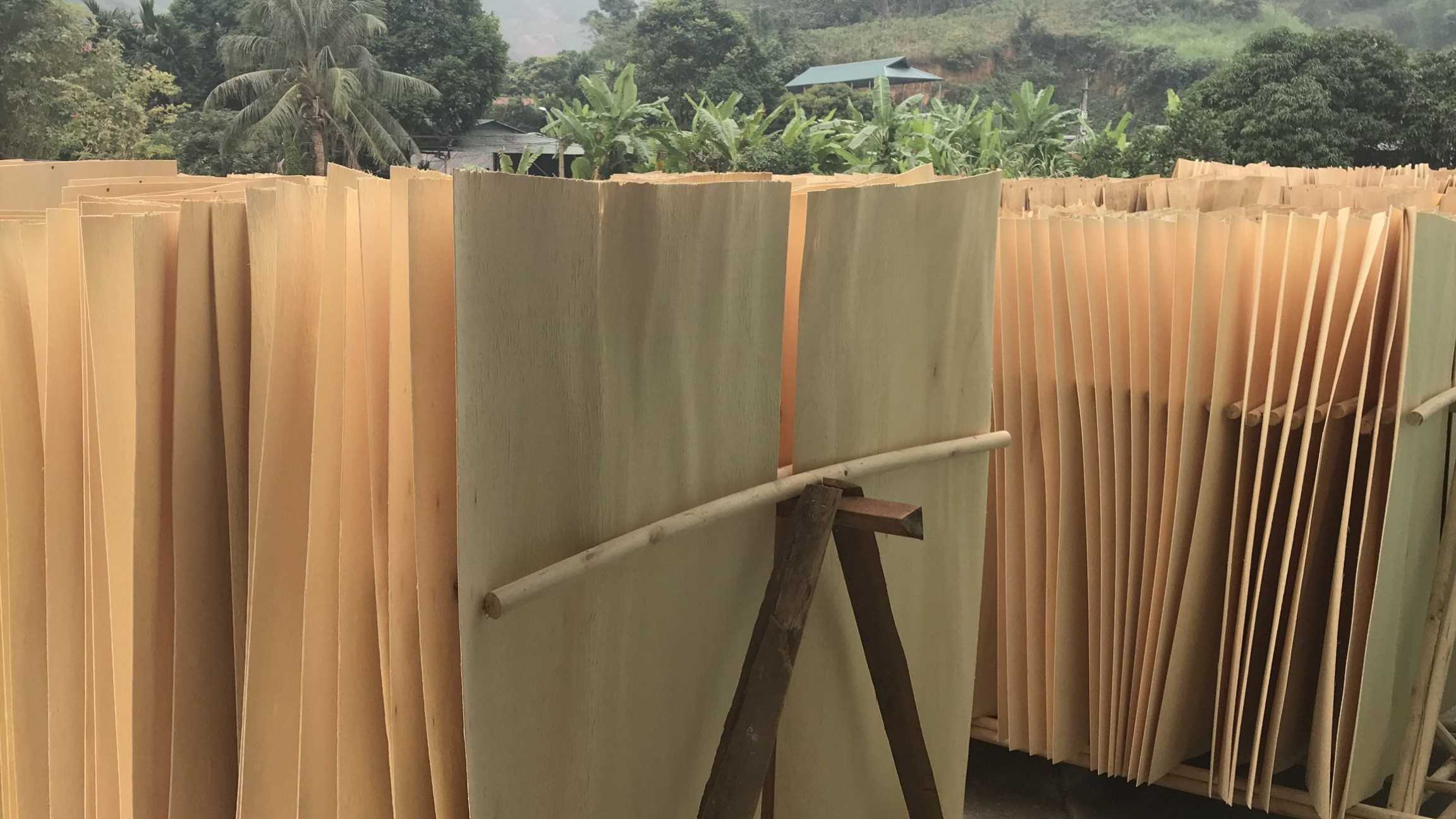 Tôi cần tìm vận tải biển đi Ấn Độ