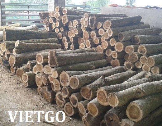 Thương gia Campuchia có nhu cầu mua 3.000m3 gỗ keo tròn