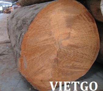 Cơ hội xuất khẩu 500m3 gỗ dầu tròn sang Ấn Độ