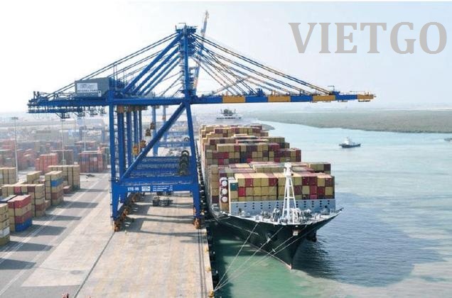 Cơ hội xuất khẩu 1 container 40ft gỗ keo và bạch đàn tròn sang Ấn Độ