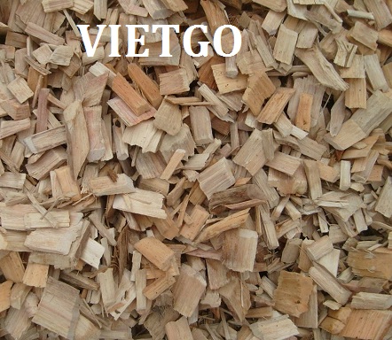 Cơ hội xuất khẩu 10.000 tấn gỗ vụn mỗi tháng sang Trung Quốc