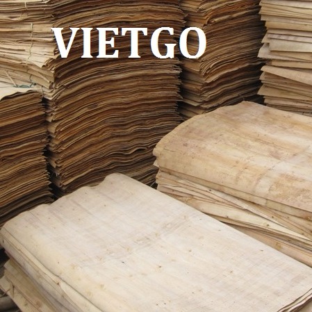 Công ty kinh doanh gỗ tại Trung Quốc cần mua 20 container ván bóc lõi bạch đàn mỗi tháng
