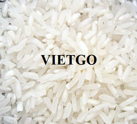 Cơ hội xuất khẩu gạo với số lượng lớn sang Ả rập sau di