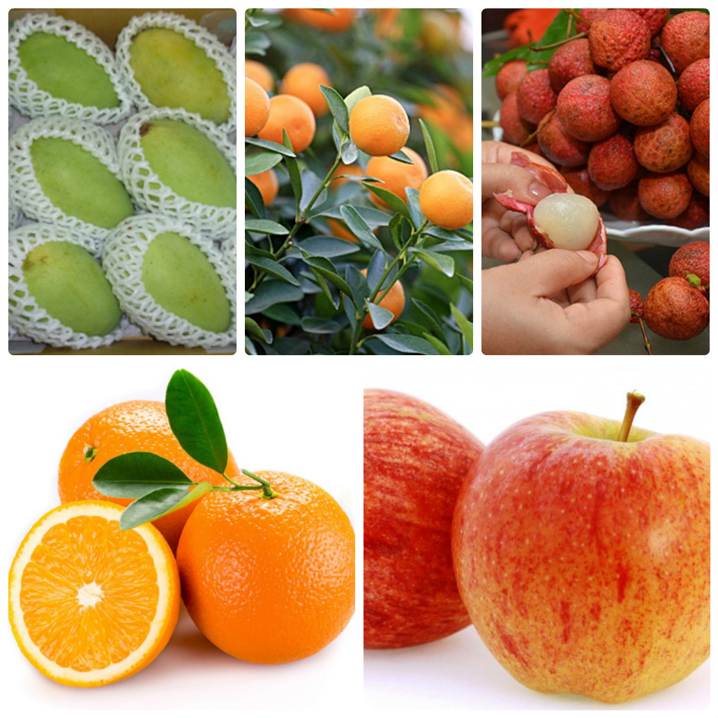 Cơ hội xuất khẩu 4 container mỗi tháng hoa quả tươi (cam, quất, xoài, vải,…) sang Bangladesh