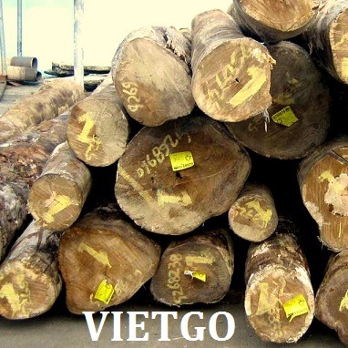 Cơ hội xuất khẩu 10 container 40ft gỗ nghiến và teak tròn sang Bangladesh