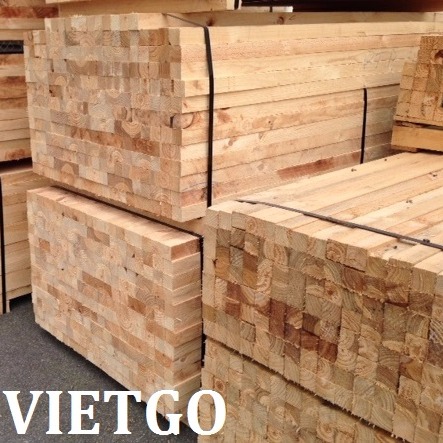 Cơ hội xuất khẩu 1 container 40ft gỗ thông hoặc bạch đàn xẻ sang Ấn Độ