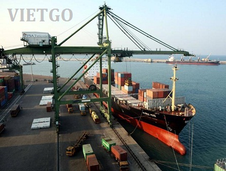 Cơ hội xuất khẩu 1 container 20ft gỗ teak xẻ sang Ấn Độ