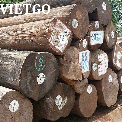 Công ty xây dựng ở Ấn Độ có nhu cầu mua 1 container gỗ teak tròn