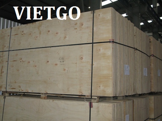 Cơ hội xuất khẩu 20-25 container gỗ dán đóng gói bao bì sang Hoa Kỳ
