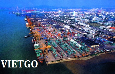 Đối tác từ Malaysia có nhu cầu mua thử 1 container 40ft gỗ keo hoặc bạch đàn tròn để xuất Trung Quốc