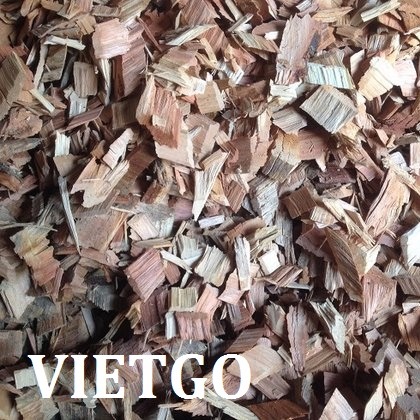 Cơ hội xuất khẩu 50.000 BDMT gỗ bạch đàn vụn mỗi tháng sang Trung Quốc