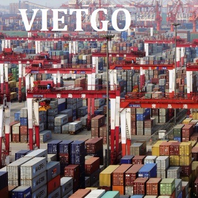 Cơ hội xuất khẩu 1 container 40ft gỗ cao su xẻ sang Trung Quốc