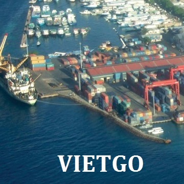 Đối tác từ Maldives có nhu cầu nhập thử 1 container 20ft  gậy tre