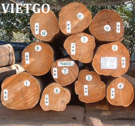 Đối tác Ấn Độ có nhu cầu mua 1 container 20ft gỗ teak Miến Điện tròn