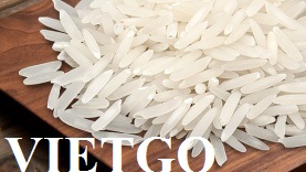(Gấp) Thương nhân HongKong cần tìm nhà cung cấp gạo số lượng lớn (khoảng 25.000 tấn) để xuất sang Haiti