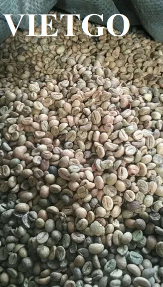 Cơ hội xuất khẩu 100 tấn cà phê xanh chất lượng thấp mỗi năm sang Trung Quốc