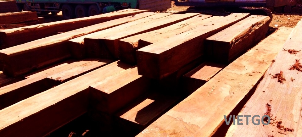 Cơ hội xuất khẩu 7 – 10 container 20ft gỗ căm xe xẻ mỗi tháng sang Ấn Độ