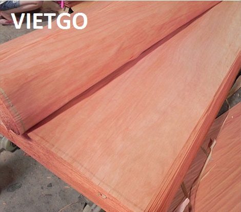 Một công ty sản xuất gỗ dán đang tìm nhà cung cấp thử 1 container 40ft ván bóc mặt dầu