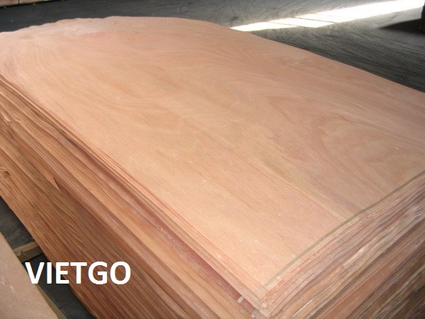 Một công ty chuyên sản xuất gỗ dán đang cần mua 1000m3 ván bóc lõi bu lô mỗi tháng