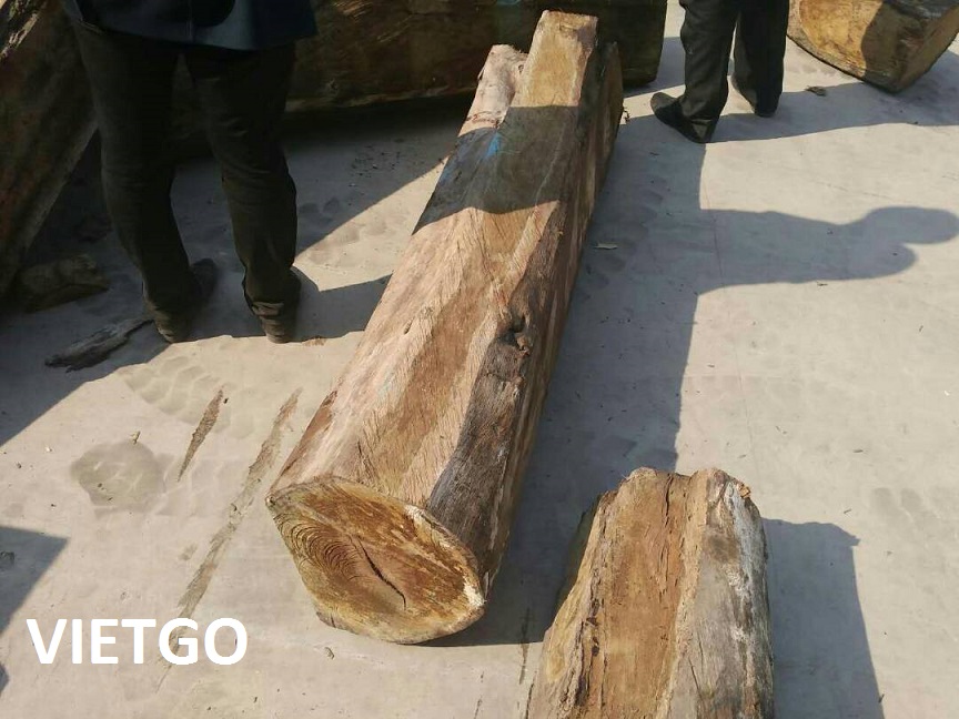 Công ty sản xuất đồ nội thất ở Trung Quốc đang tìm kiếm nguồn cung cấp gỗ hương tròn từ Việt Nam