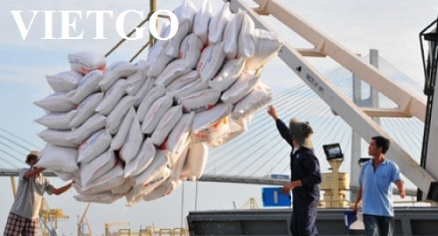 Cơ hội xuất khẩu 3.000 tấn gạo sang châu Mỹ La-tinh từ một đối tác Ấn Độ