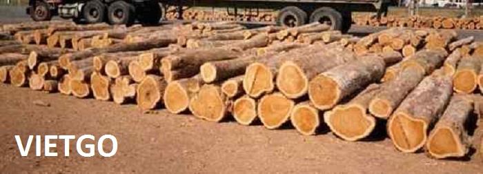 Đối tác người Ấn Độ đang cần nhập khẩu 500m3 gỗ teak tròn