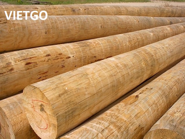 Thương nhân người Malaysia đang cần mua 5000 chiếc cọc gỗ thông cho lần giao hàng đầu tiên