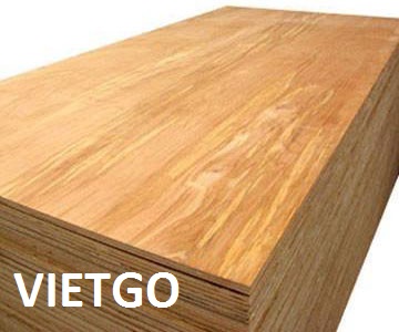 Đối tác người Ai Cập đang cần mua thử 100 chiếc gỗ dán từ các nhà cung cấp Việt Nam