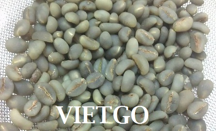 Cơ hội xuất khẩu ít nhất 100 tấn hạt cà phê xanh Robusta sang Hàn Quốc mỗi tháng