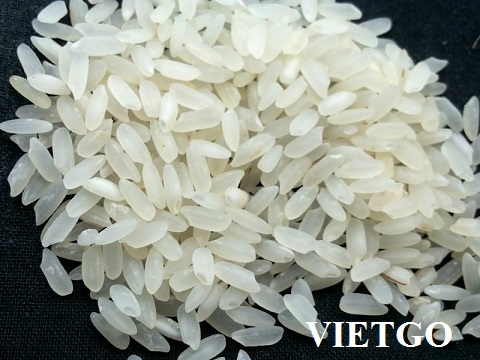 Cơ hội xuất khẩu 1.000 tấn gạo sang Syria