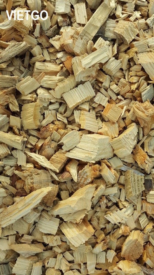 Đối tác người Hàn Quốc đang cần mua 3000MT gỗ vụn mỗi tháng