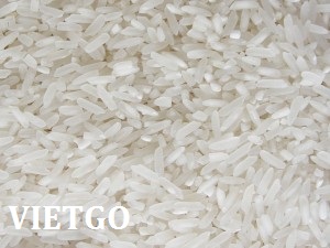 Đối tác người Bangladesh cần tìm nguồn cung cho 10 container 20ft gạo