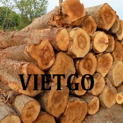 Cơ hội giao thương xuất khẩu gỗ teak tròn đến Ấn Độ