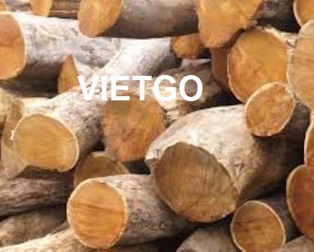 Cơ hội xuất khẩu 3 container 20ft gỗ keo tròn sang Ấn Độ