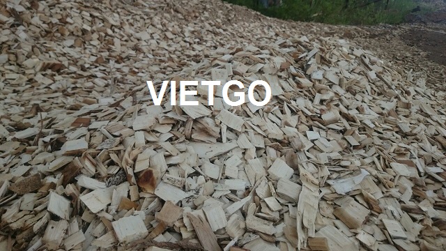 Cơ hội xuất khẩu 10.000 – 20.000BDMT gỗ vụn sang Trung Quốc