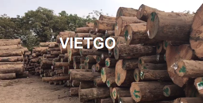 Cơ hội xuất khẩu 1000m3 gỗ thông tròn sang Ấn Độ